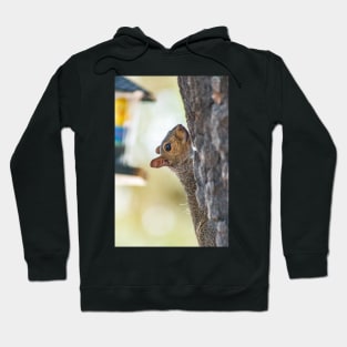 Squirrel 2 Hoodie